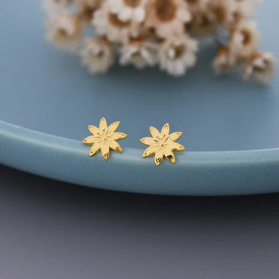 Star Anise Stud Earrings